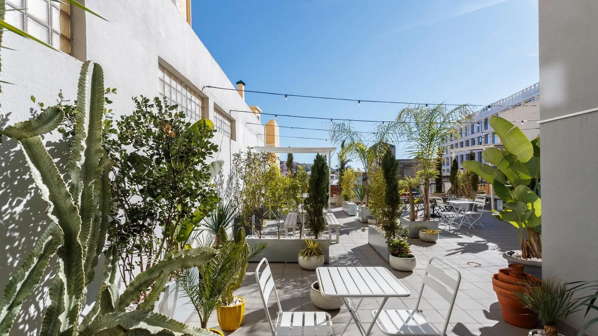 Divine Port'S Wine In Lisbon - By Misha'S Place 2B Appartement